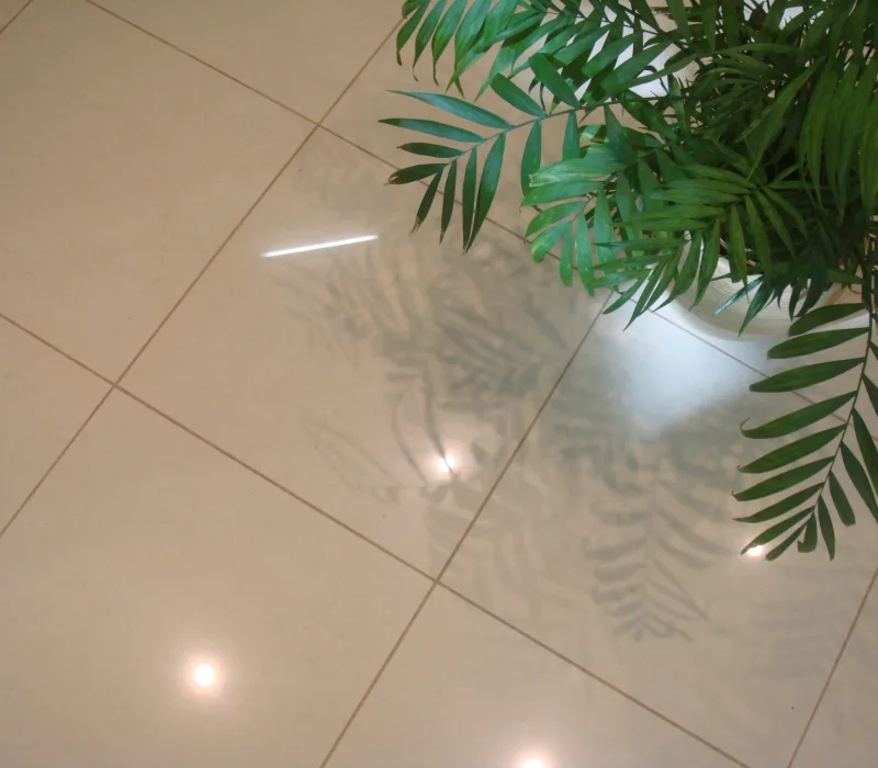 Tiles with Plant